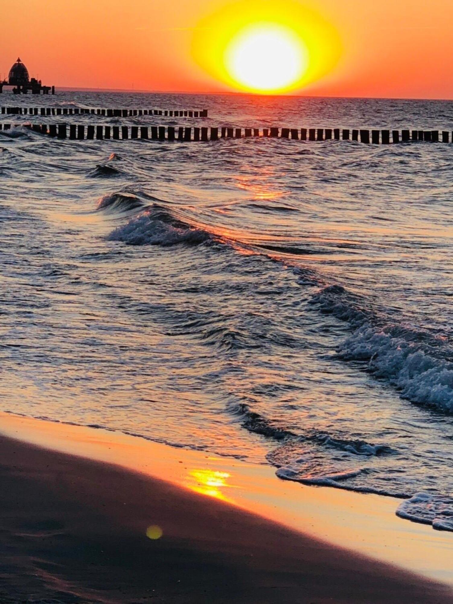 Appartamento Igel Zingst Esterno foto